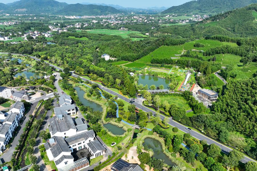 Interview: China leads green transition with global impact, says Egyptian ecologist