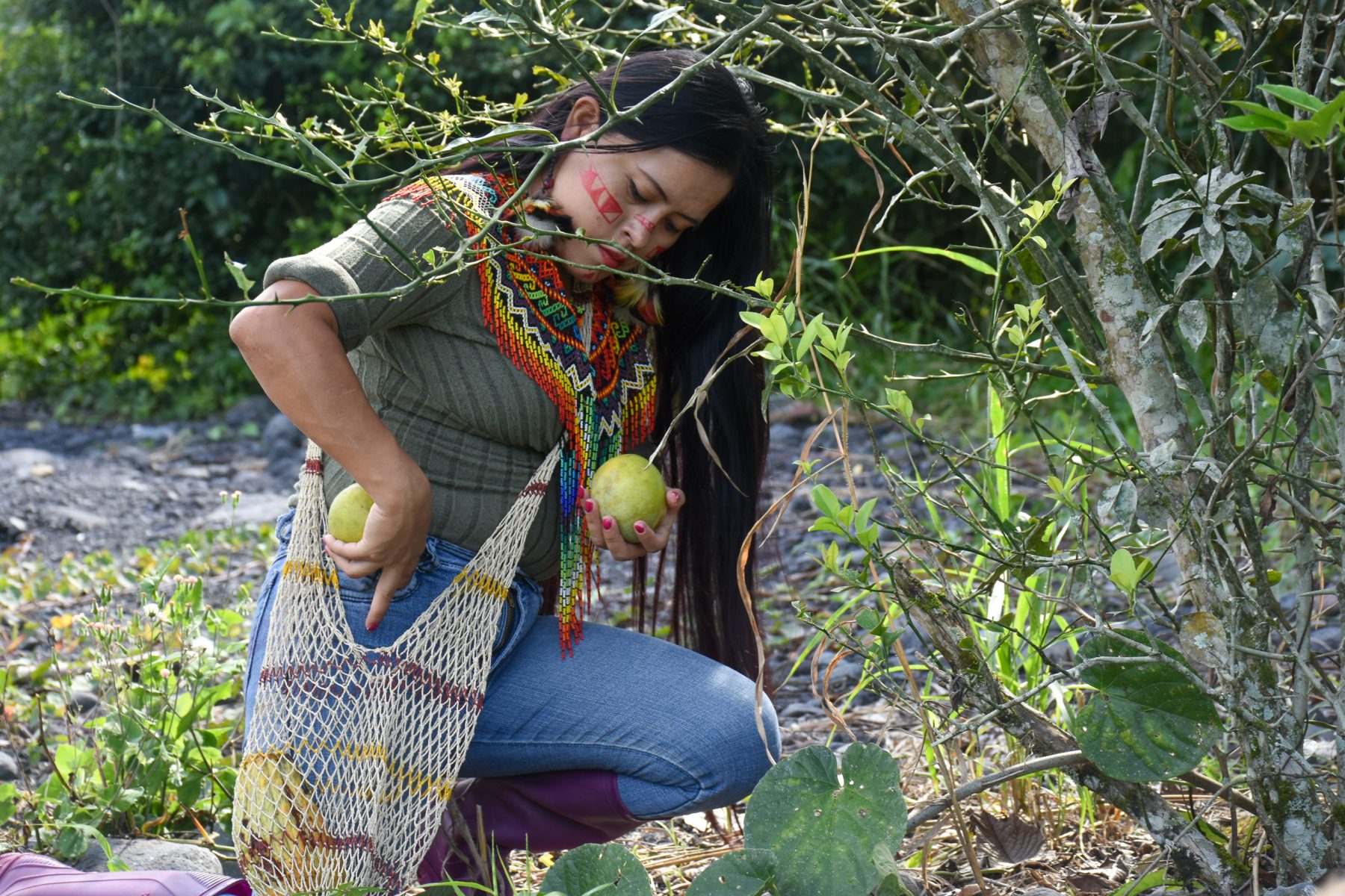 How the Shuar of Ecuador are responding to climate change and environmental degradation