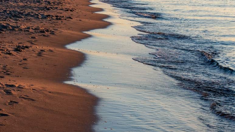 Tourism Deal Puts One Of Egypt’s Last Wild Shores At Risk