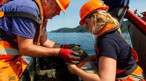 Scientists search for climate change answers in the seafloor mud of Quebec’s Saguenay