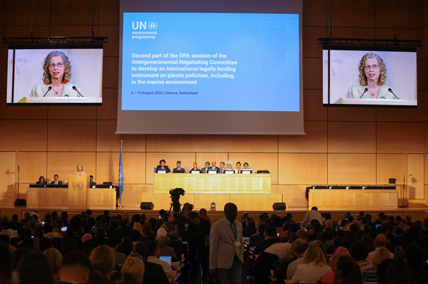 Global plastics treaty talks collapse, and other nature and climate news