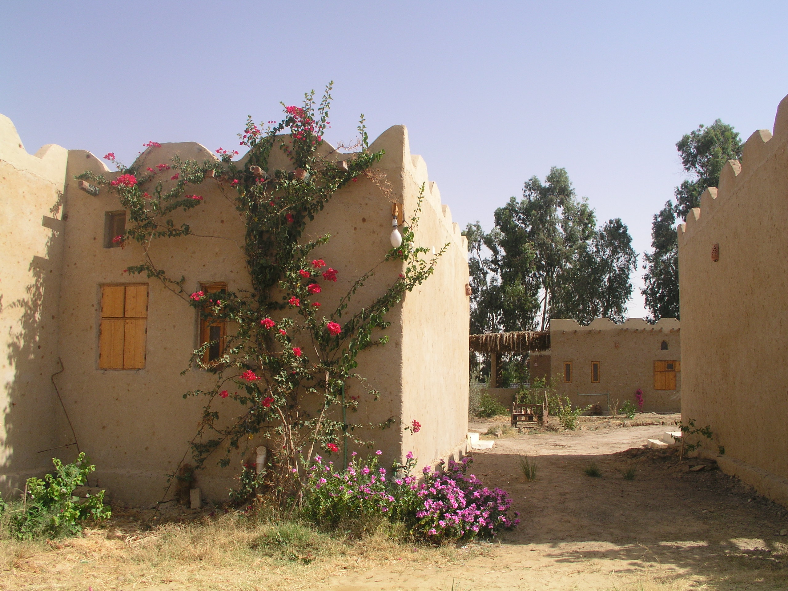 Desert Rose Eco Lodge – Bahariya Oasis