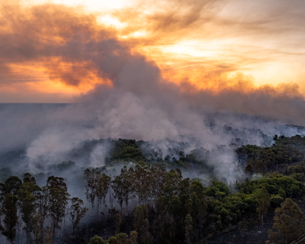 CO2 from wildfires increases by 9% as climate crisis supercharges infernos